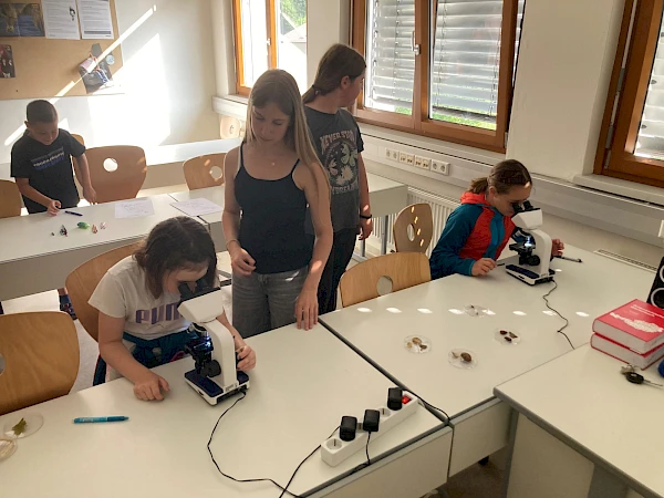 Experimentieren, Staunen und Entdecken