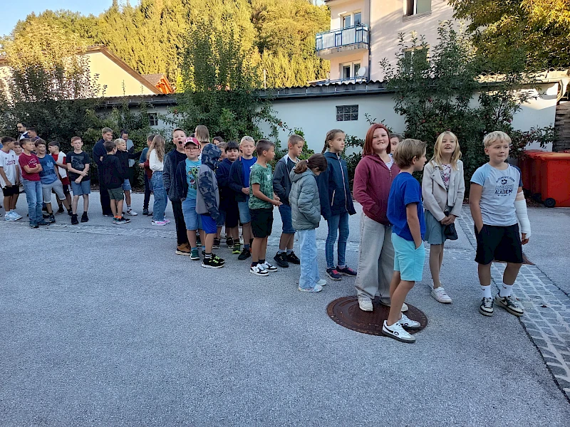 Slideshow Bild
