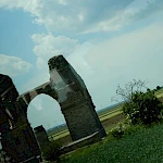 Galeriebild