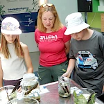 Galeriebild