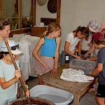 Galeriebild